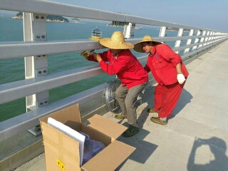 港珠澳大桥-太阳能航标灯安装现场